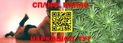 индика Канаш