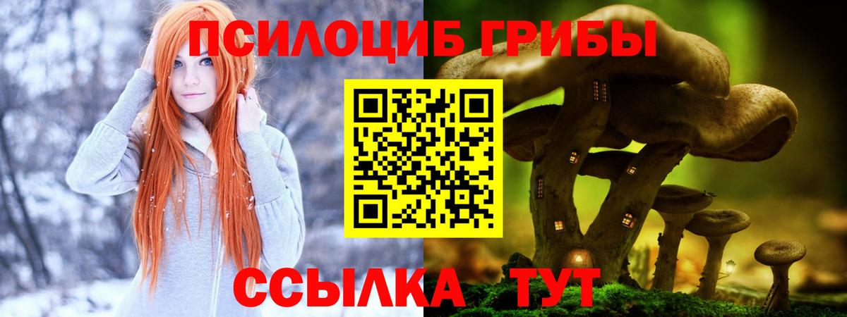 Кудрово  Псилоцибиновые грибы Magic Shrooms  Вход с VPN 